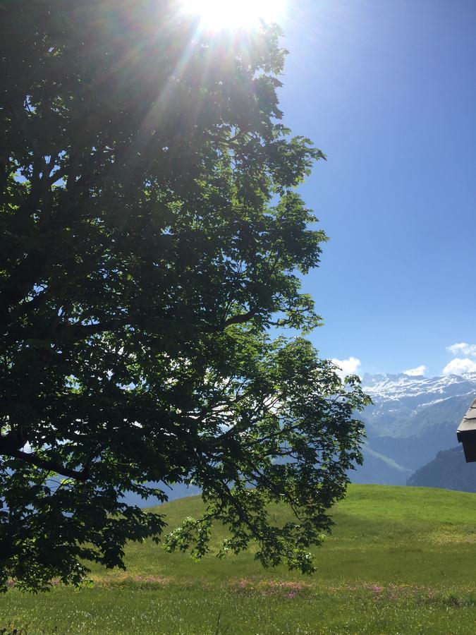 Hotel & Restaurant Stadthof Glarus Εξωτερικό φωτογραφία